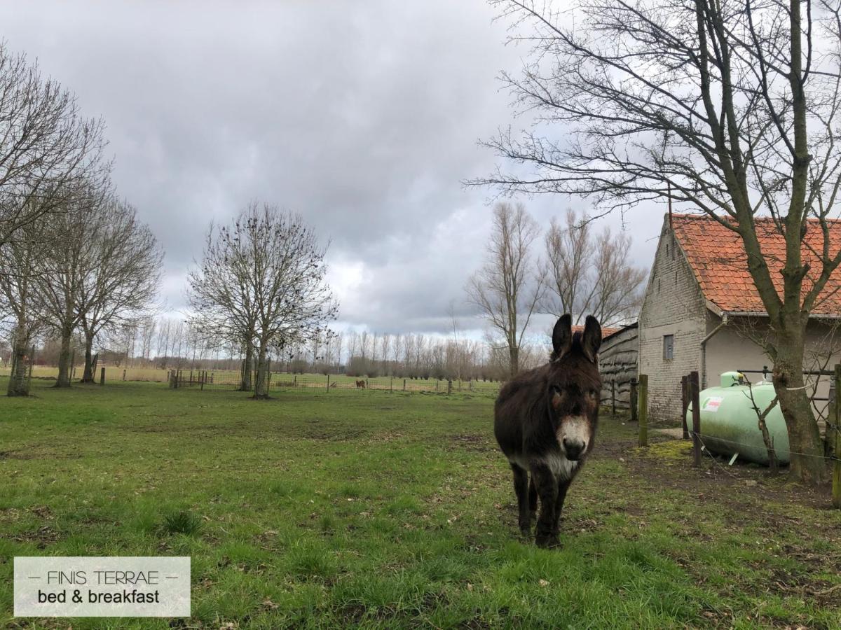 Appartement Aan Puyenbroeck Wachtebeke Extérieur photo