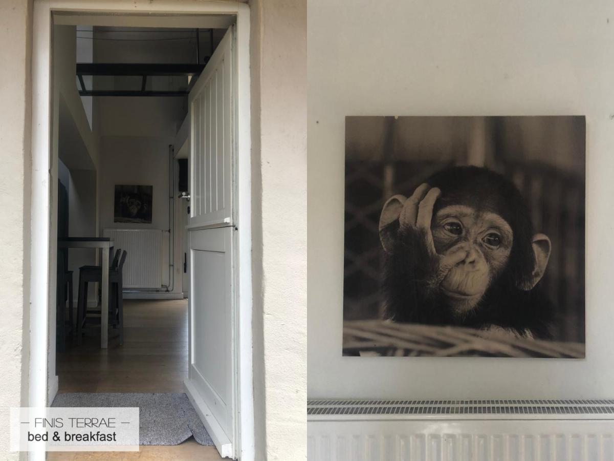 Appartement Aan Puyenbroeck Wachtebeke Extérieur photo